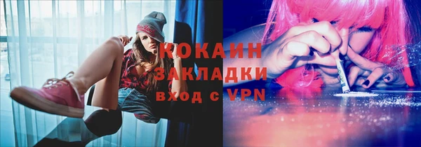 кокс Алексин