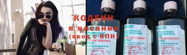 кокс Алексин