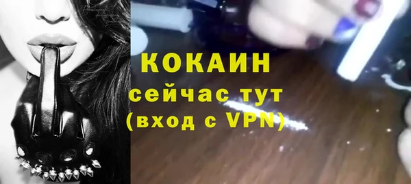кокс Алексин