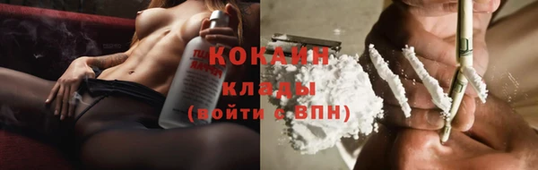 кокс Алексин