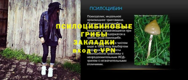 спиды Алзамай
