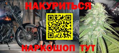 сатива Заволжье