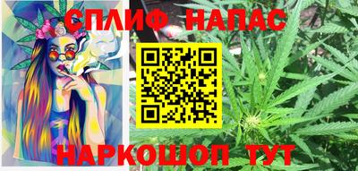 сатива Заволжье