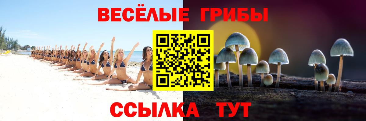 Клин  Галлюциногенные грибы MAGIC MUSHROOMS  Вход с VPN 